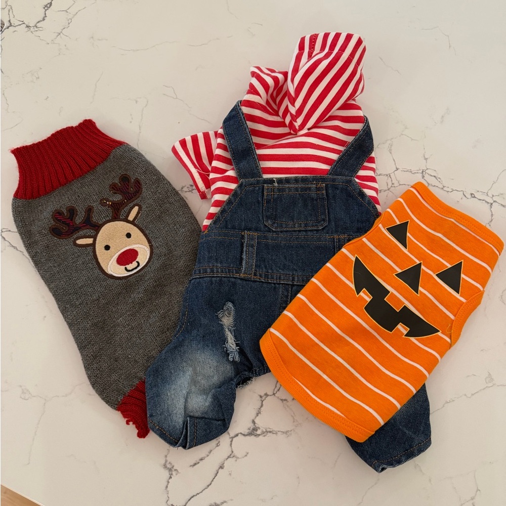 3 Dog outfits: Christmas, Halloween & Overalls!